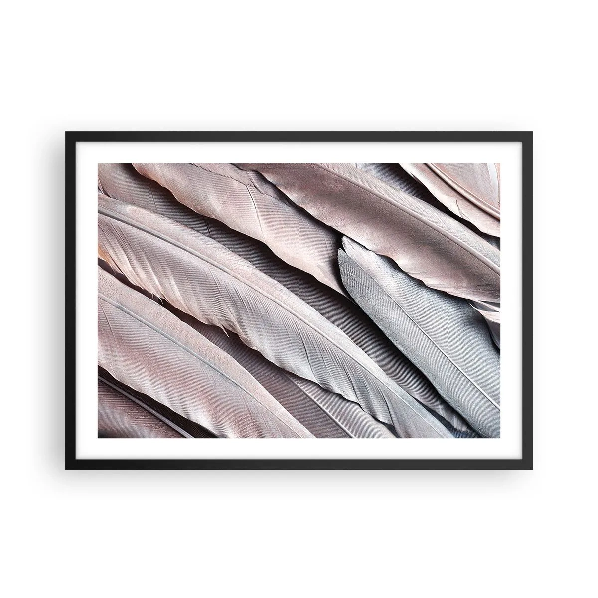Affiche dans un cadre noir - Poster - Plumes délicates dans des tons subtils de gris et de beige - 70x50cm - En argent rose - Décoration murale moderne pour le salon et la chambre ARTTOR