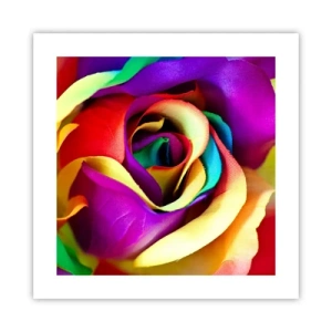 Affiche - Poster - Ce n'est pas possible - 40x40 cm