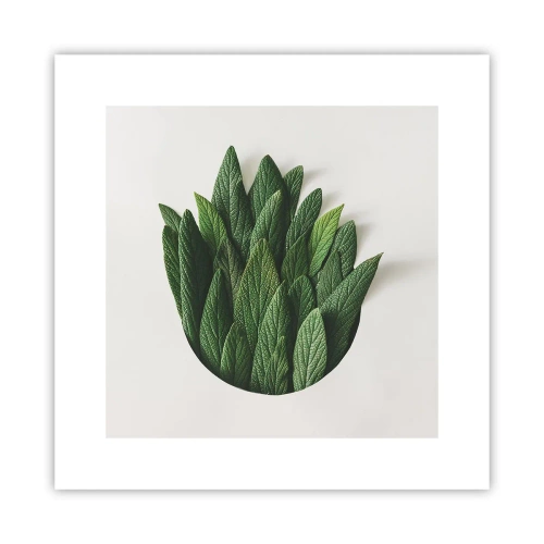 Affiche - Poster - Curiosité sans retenue - 30x30 cm