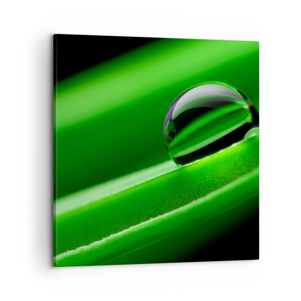 Impression sur toile - Image sur toile - La vie de près - 60x60 cm