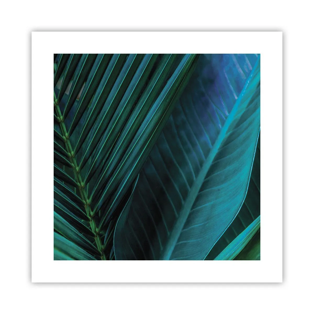 Affiche - Poster - L'anatomie du vert - 40x40 cm