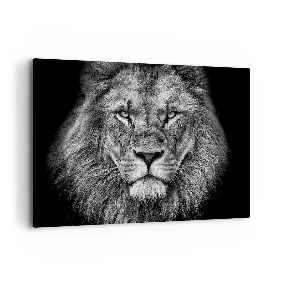 Impression sur toile - Image sur toile - Portrait d'un lion majestueux en noir et blanc - 100x70cm - En vêtement de sacre - Décoration murale moderne pour le salon et la chambre ARTTOR