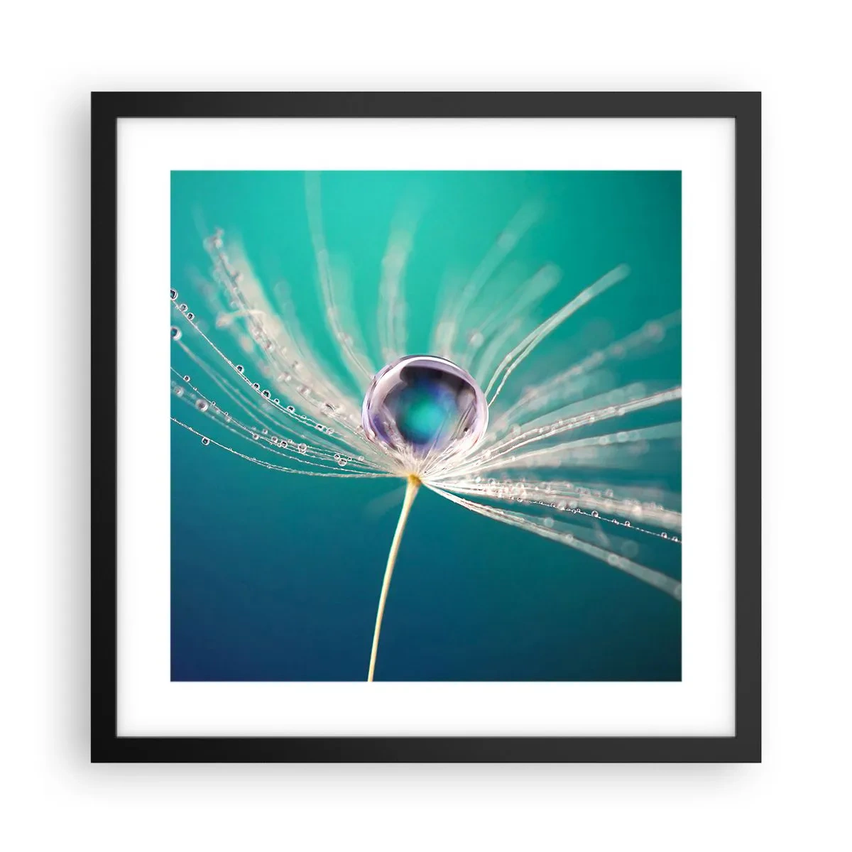 Affiche dans un cadre noir - Poster - Moment mystique - 40x40 cm