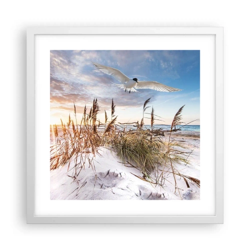 Affiche dans un cadre blanc - Poster - Vent de mer - 40x40 cm