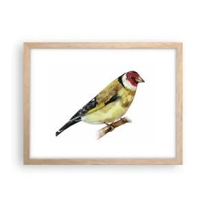 Affiche dans un chêne clair - Poster - Portrait d'oiseau - 40x30 cm