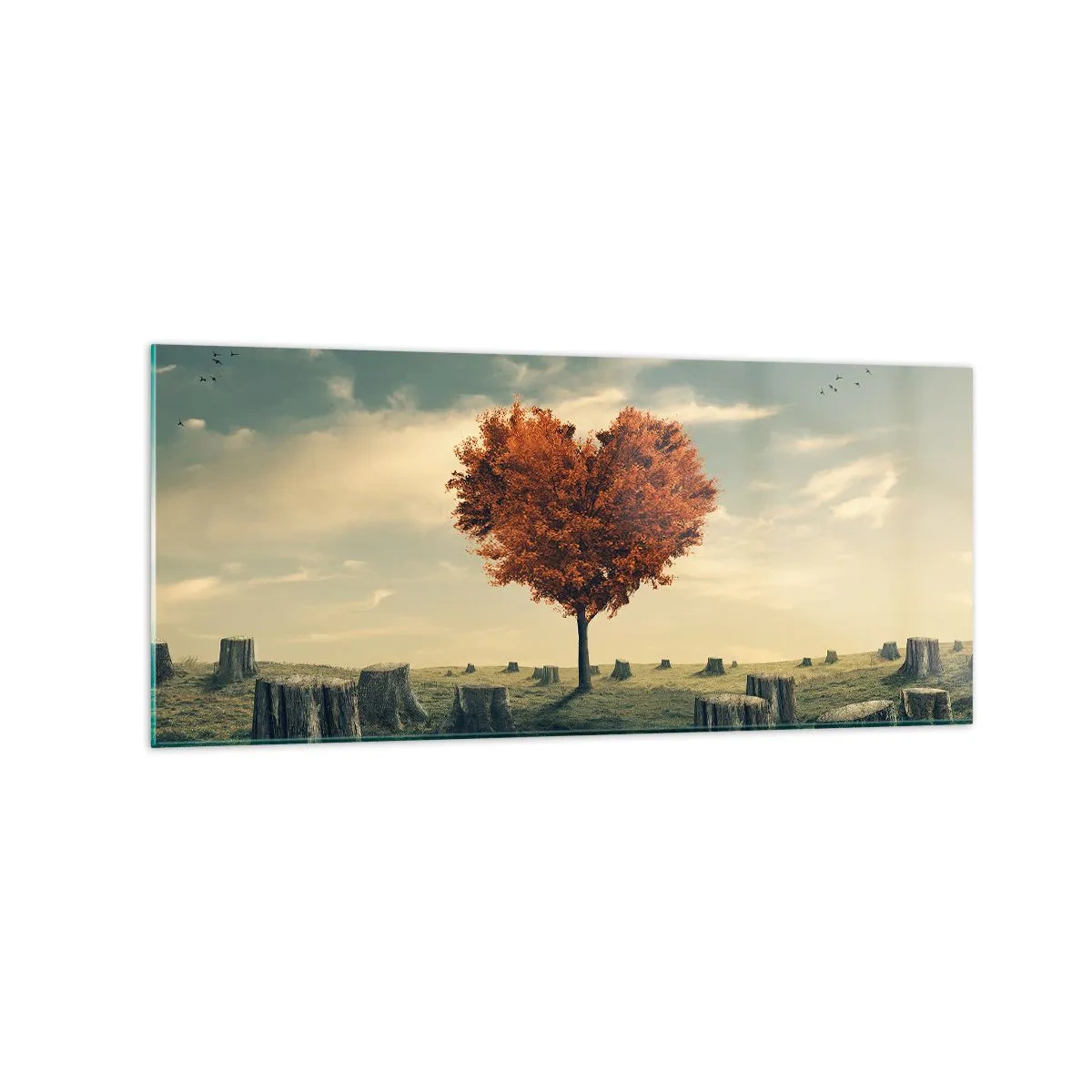 Impression sur verre - Image sur verre - Un arbre en forme de cœur dans un champ de souches, symbole d'espoir - 120x50cm - Il y a toujours de l'espoir - Décoration murale moderne pour le salon et la chambre ARTTOR