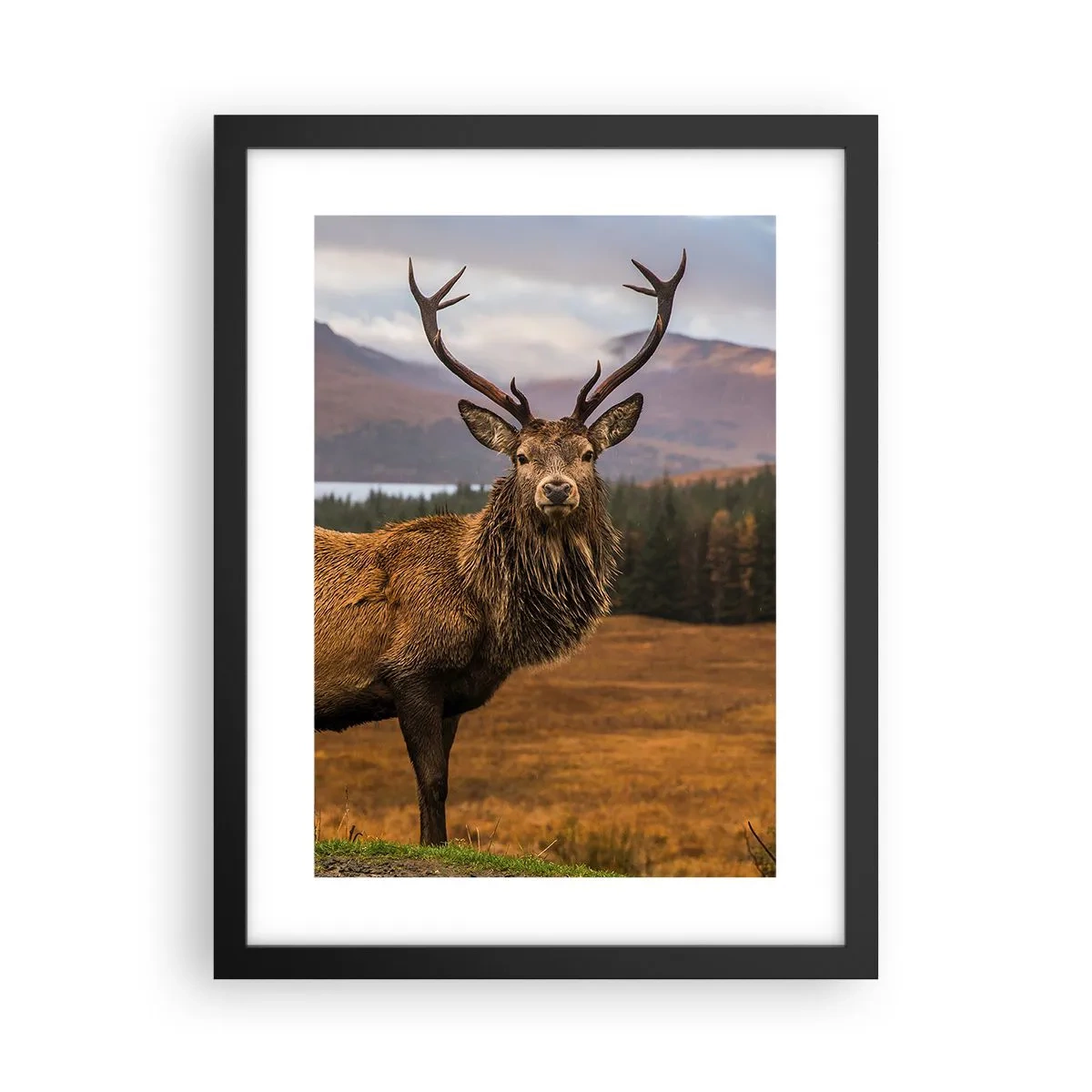 Affiche dans un cadre noir - Poster - Majesté de la nature - 30x40 cm