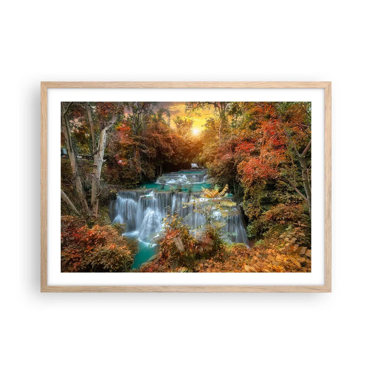 Affiche dans un chêne clair - Poster - Trésor caché de la forêt - 70x50 cm