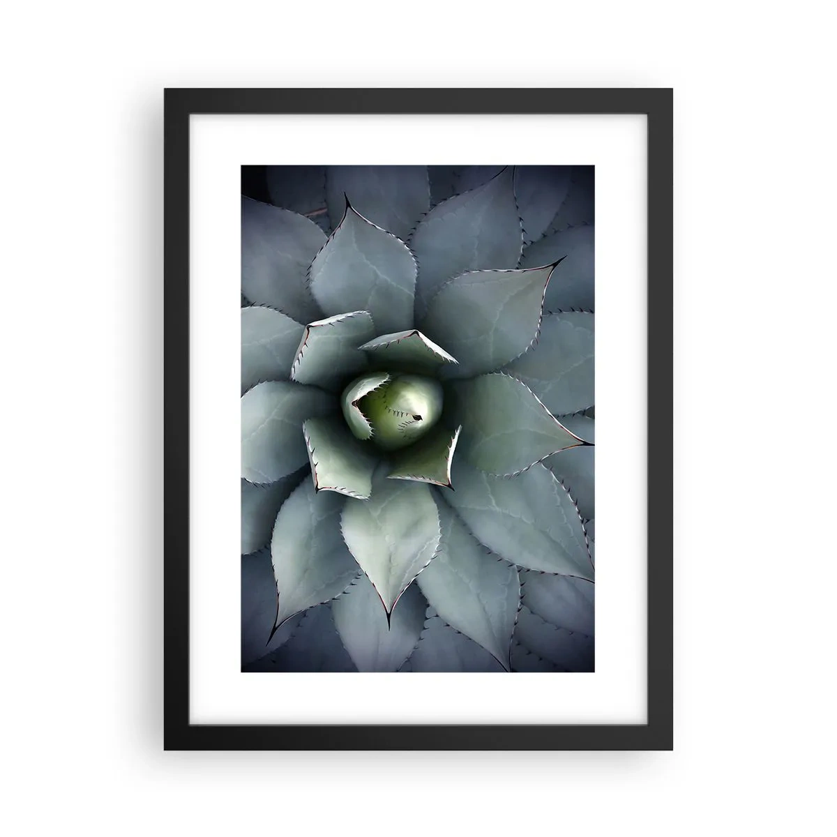 Affiche dans un cadre noir - Poster - Wabi et observe - 30x40 cm