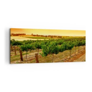 Impression sur toile - Image sur toile - Vignes dans une plantation au coucher du soleil doré - 120x50cm - S'abreuver du soleil - Décoration murale moderne pour le salon et la chambre ARTTOR