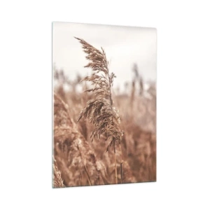 Impression sur verre - Image sur verre - Herbes séchées dans le vent dans la lumière d'automne de la nature - 50x70cm - C'est déjà l'automne dans les champs - Décoration murale moderne pour le salon et la chambre ARTTOR