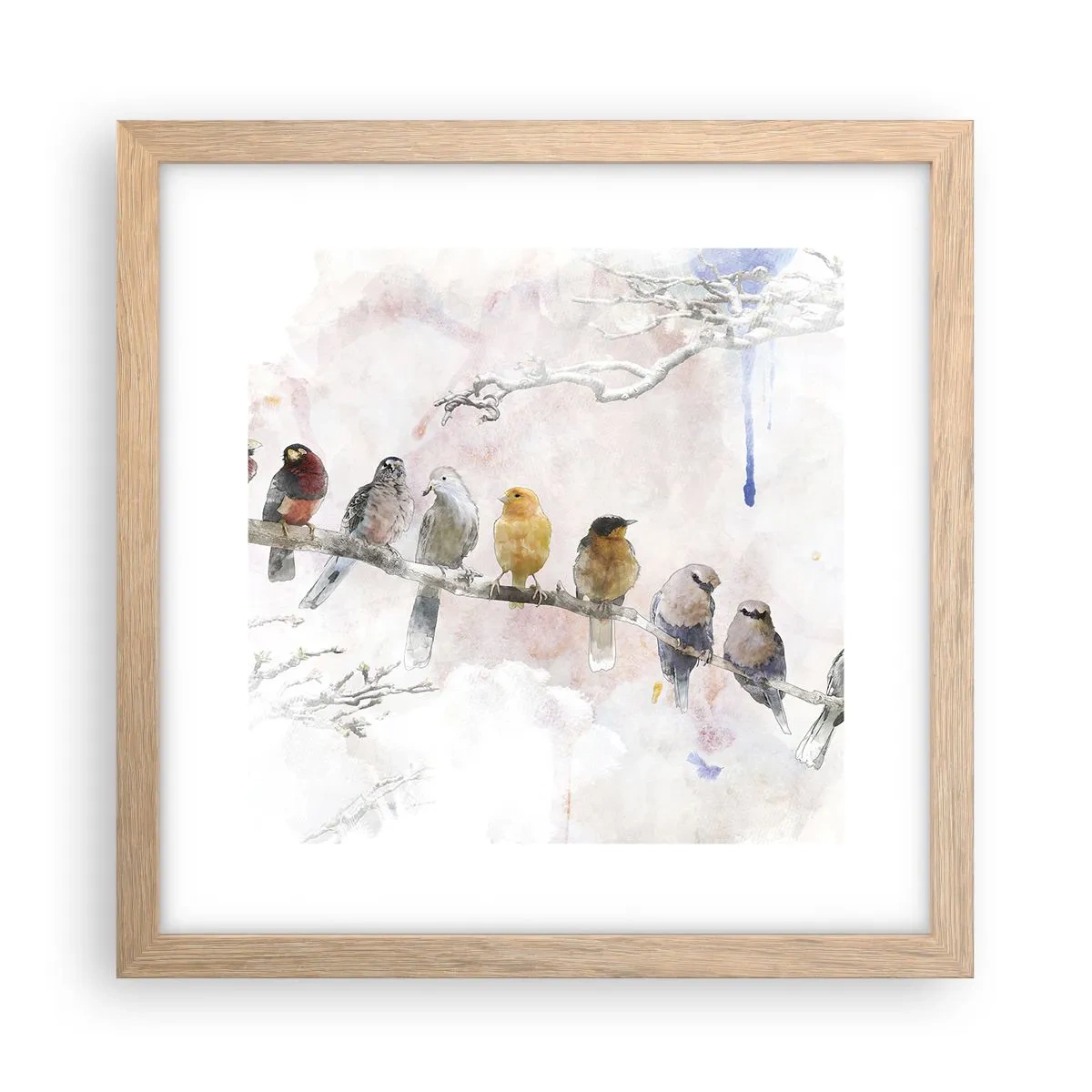 Affiche dans un chêne clair - Poster - Rencontre ailée - 30x30 cm