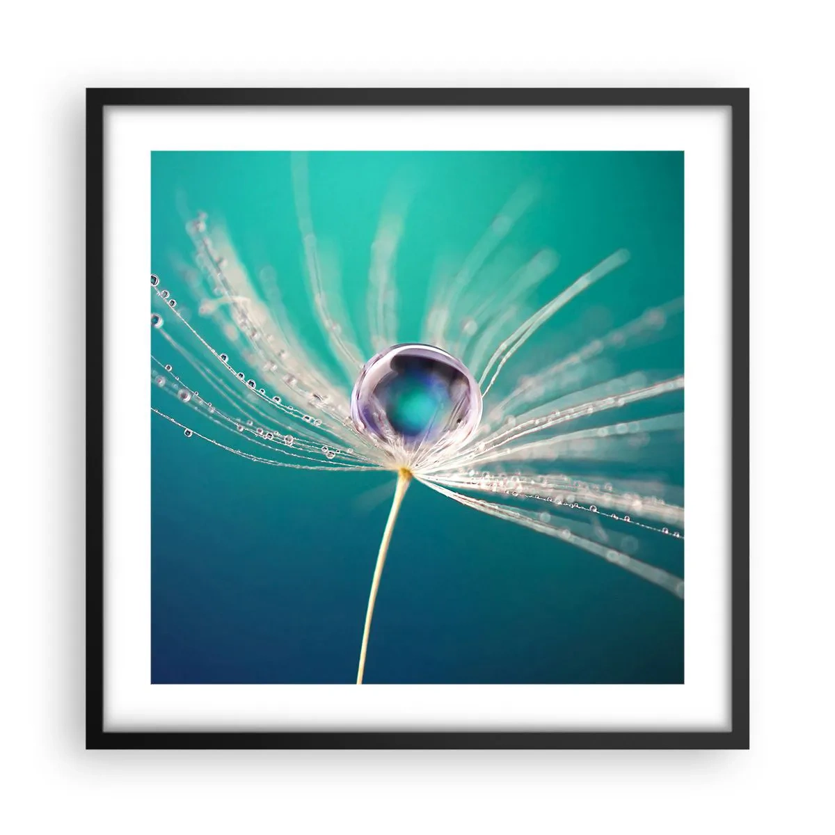 Affiche dans un cadre noir - Poster - Moment mystique - 50x50 cm