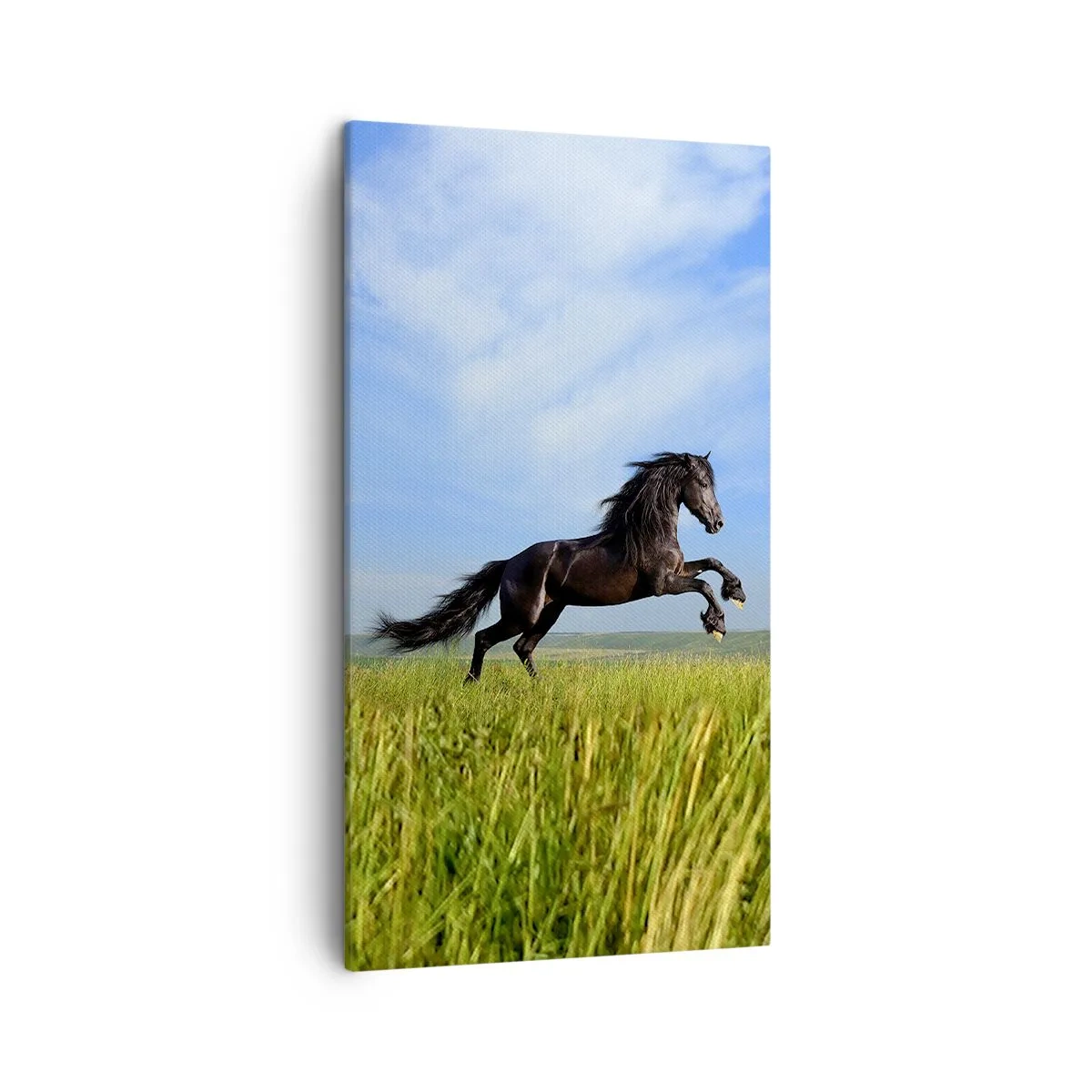 Impression sur toile - Image sur toile - Un manifeste de liberté passionnant - 45x80 cm