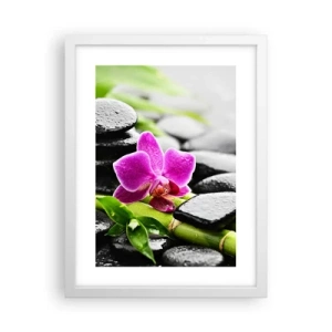 Affiche dans un cadre blanc - Poster - Dans un équilibre de calme - 30x40 cm