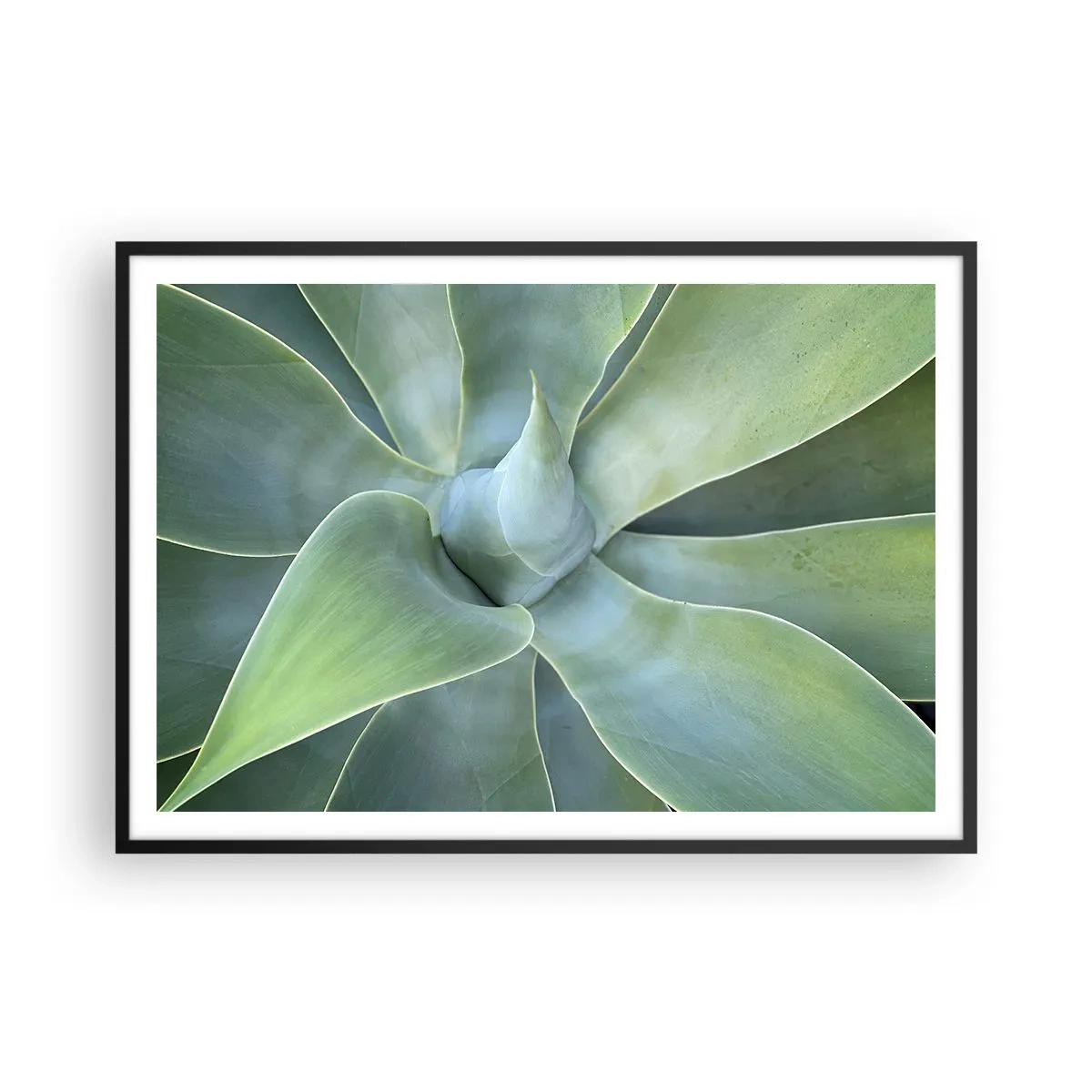 Affiche dans un cadre noir - Poster - Feuilles d'agave subtiles dans des tons verts - 100x70cm - La naissance de la verdure - Décoration murale moderne pour le salon et la chambre ARTTOR