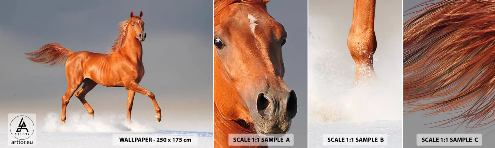 Échantillon de Papier Peint Autocollant Deluxe Sticker - La grâce dansante - Animaux, Cheval, Nature - 100x30 cm