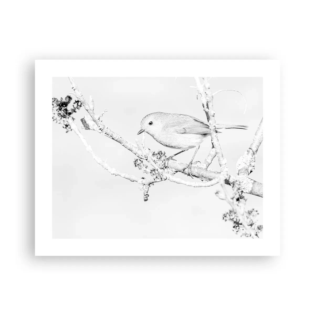 Affiche - Poster - Matin d'hiver - 50x40 cm