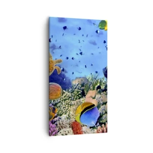 Impression sur toile - Image sur toile - Et que sait-on de la vie… - 55x100 cm
