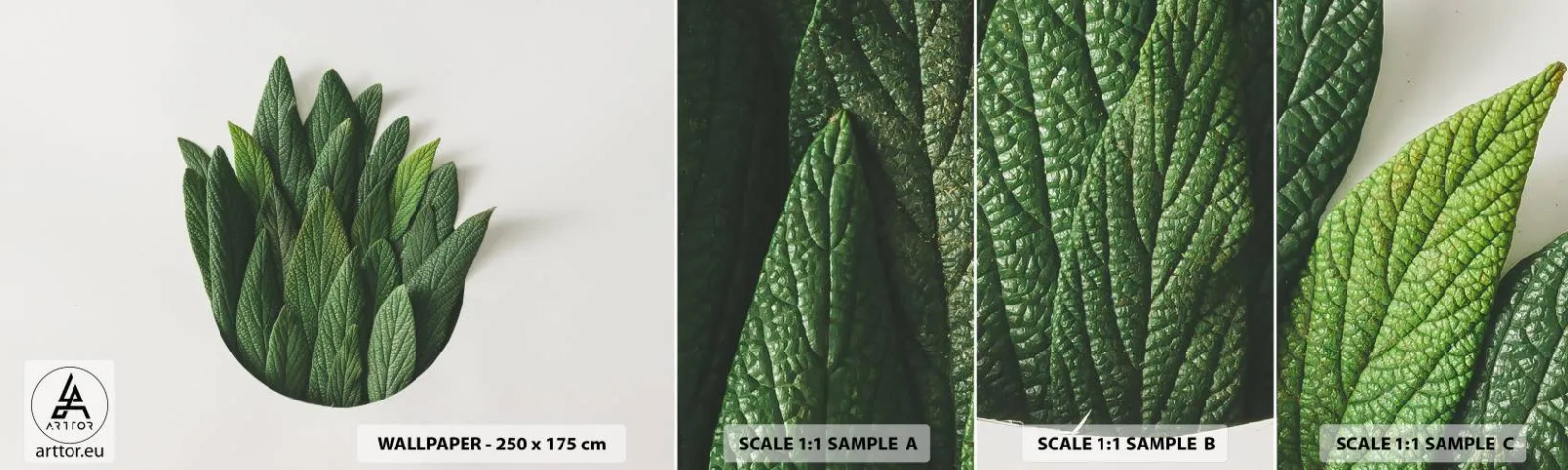 Échantillon De Papier Peint Standard Eco - Curiosité sans retenue - Sage, feuille de sauge, Herbe - 100x30 cm