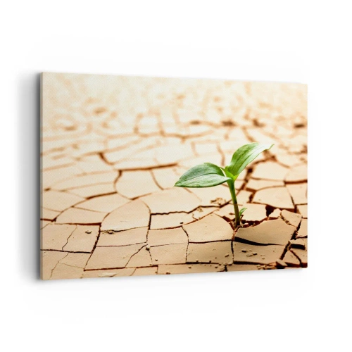 Impression sur toile - Image sur toile - Une plante verte poussant sur une terre sèche et craquelée - 100x70cm - La force indomptable de la vie - Décoration murale moderne pour le salon et la chambre ARTTOR
