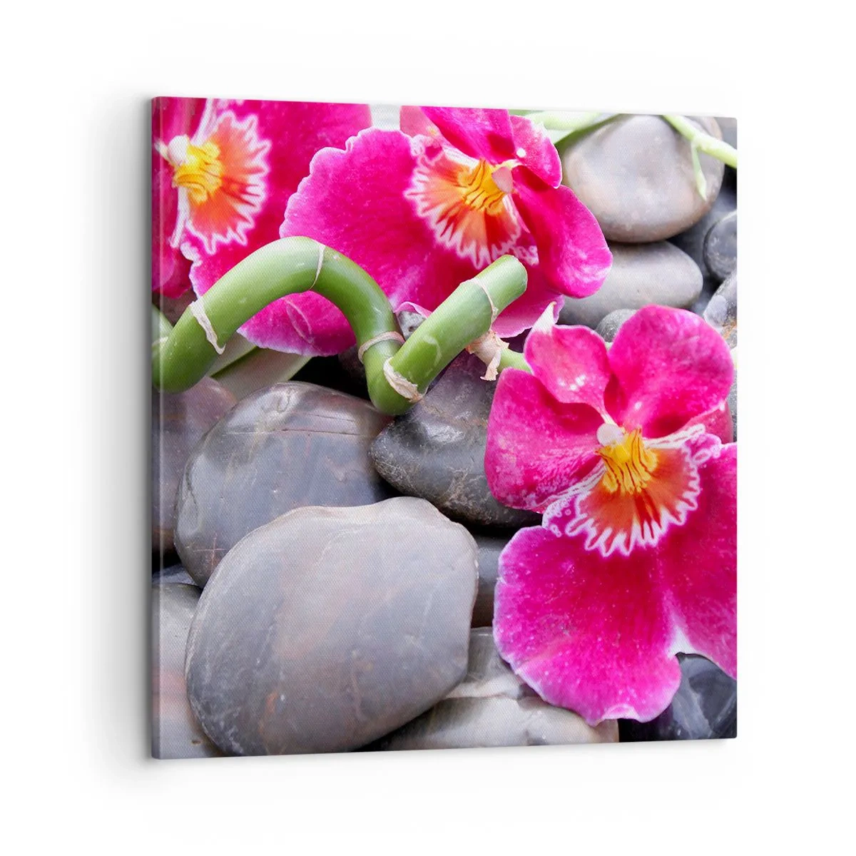 Impression sur toile - Image sur toile - Refroidir et chauffer - 60x60 cm