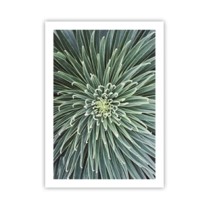 Affiche - Poster - Gros plan d'une plante verte aux feuilles symétriques. - 50x70cm - Naissance d'une étoile - Décoration murale moderne pour le salon et la chambre ARTTOR