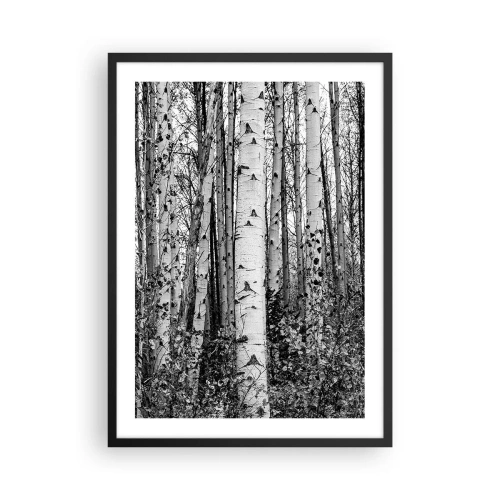 Affiche dans un cadre noir - Poster - Les bouleaux noirs et blancs forment une forêt symétrique - 50x70cm - Enchevêtrement de bouleau - Décoration murale moderne pour le salon et la chambre ARTTOR