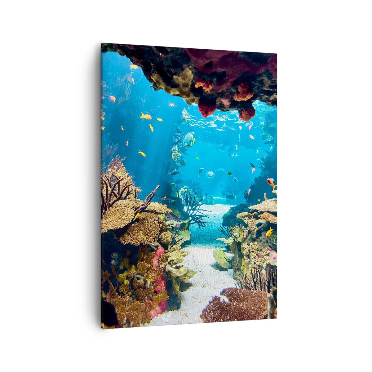 Impression sur toile - Image sur toile - Monde sous-marin avec récif corallien et poissons - 70x100cm - Tu ne l'as même pas rêvé - Décoration murale moderne pour le salon et la chambre ARTTOR