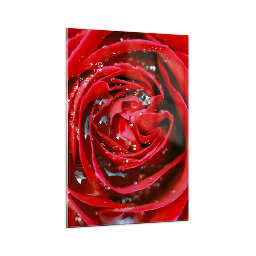 Impression sur verre - Image sur verre - Gros plan d'une rose rouge avec des gouttes d'eau sur les pétales - 70x100cm - Dans les gouttes de rosée - Décoration murale moderne pour le salon et la chambre ARTTOR