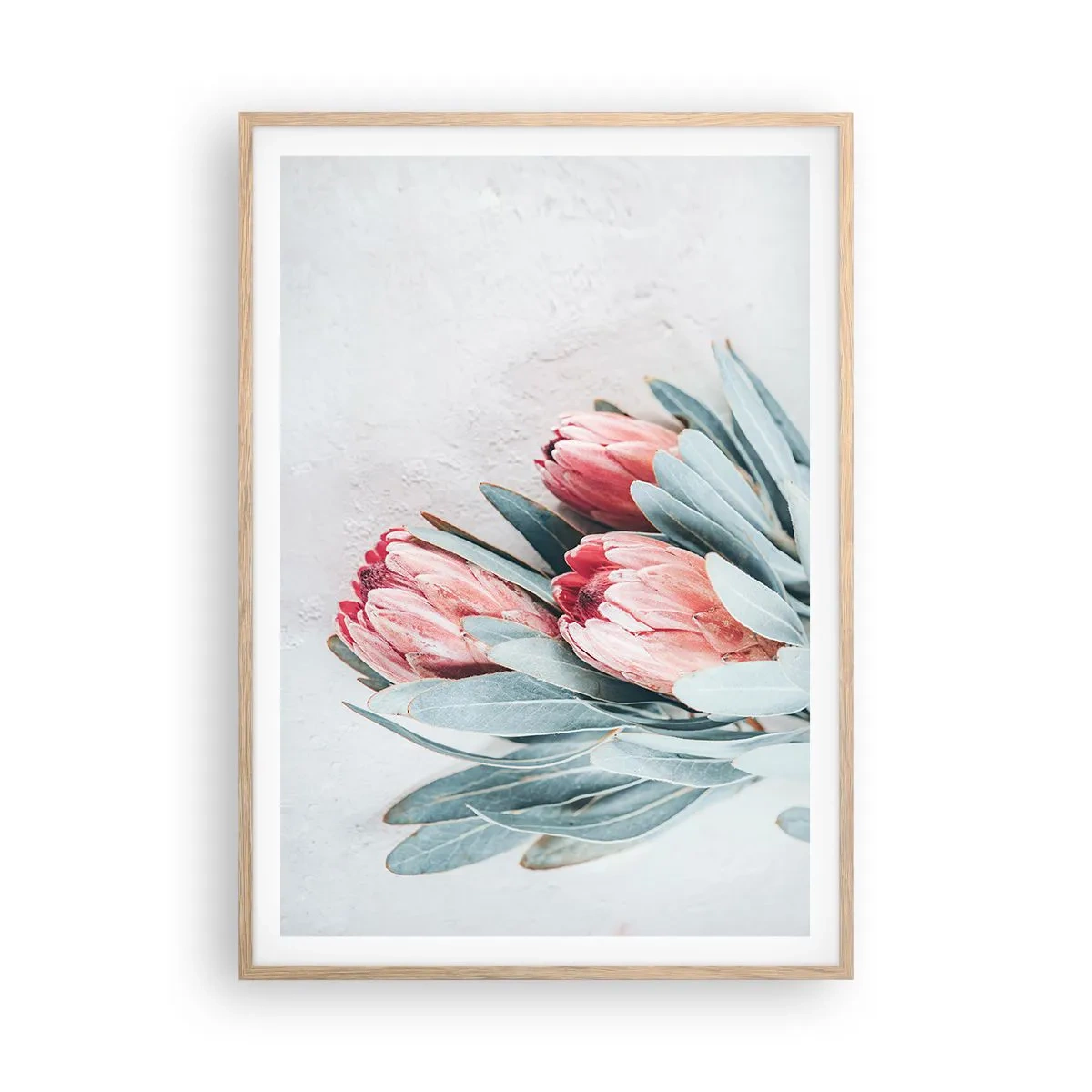 Affiche dans un chêne clair - Poster - Honte de leur propre beauté - 70x100 cm