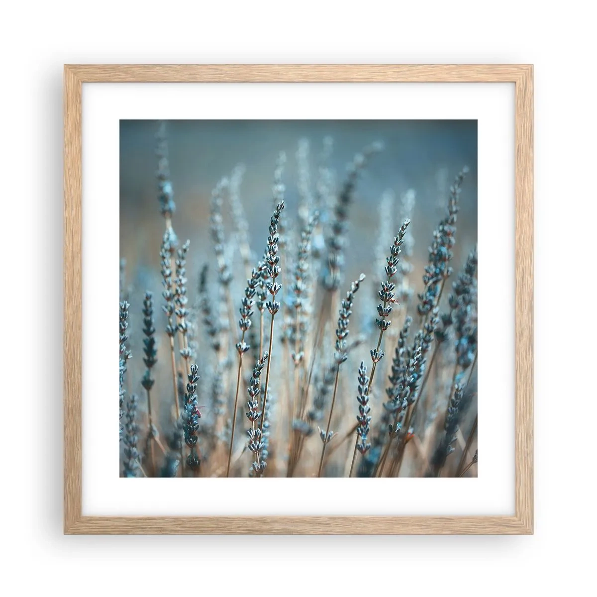 Affiche dans un chêne clair - Poster - Tige odorante - 40x40 cm