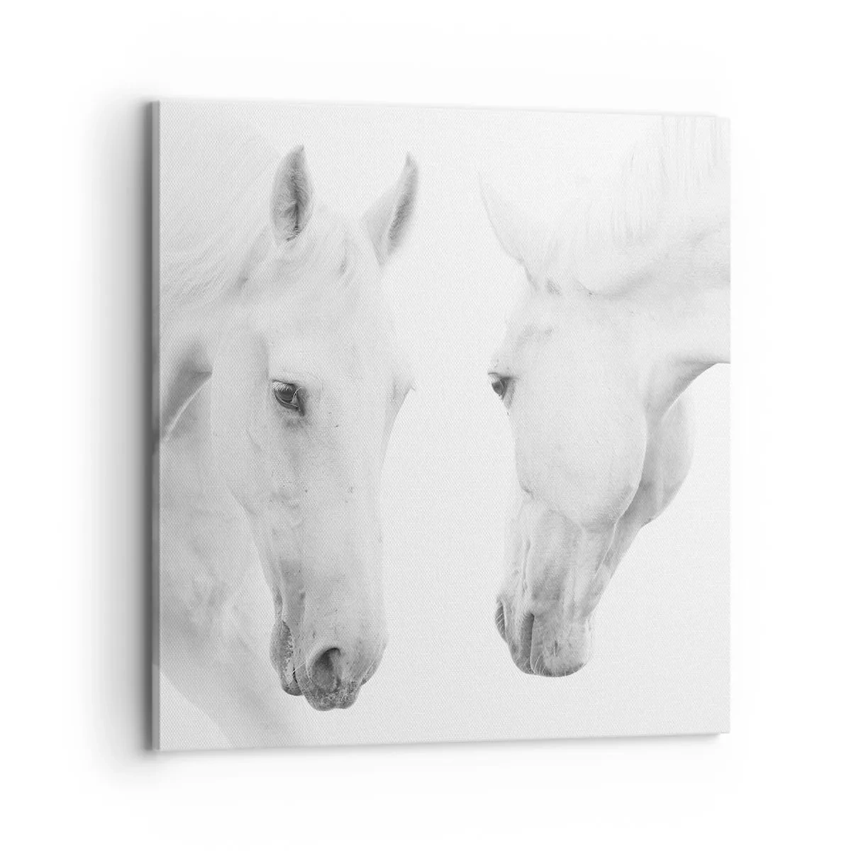 Impression sur toile - Image sur toile - Serait-ce de l’amitié? - 70x70 cm