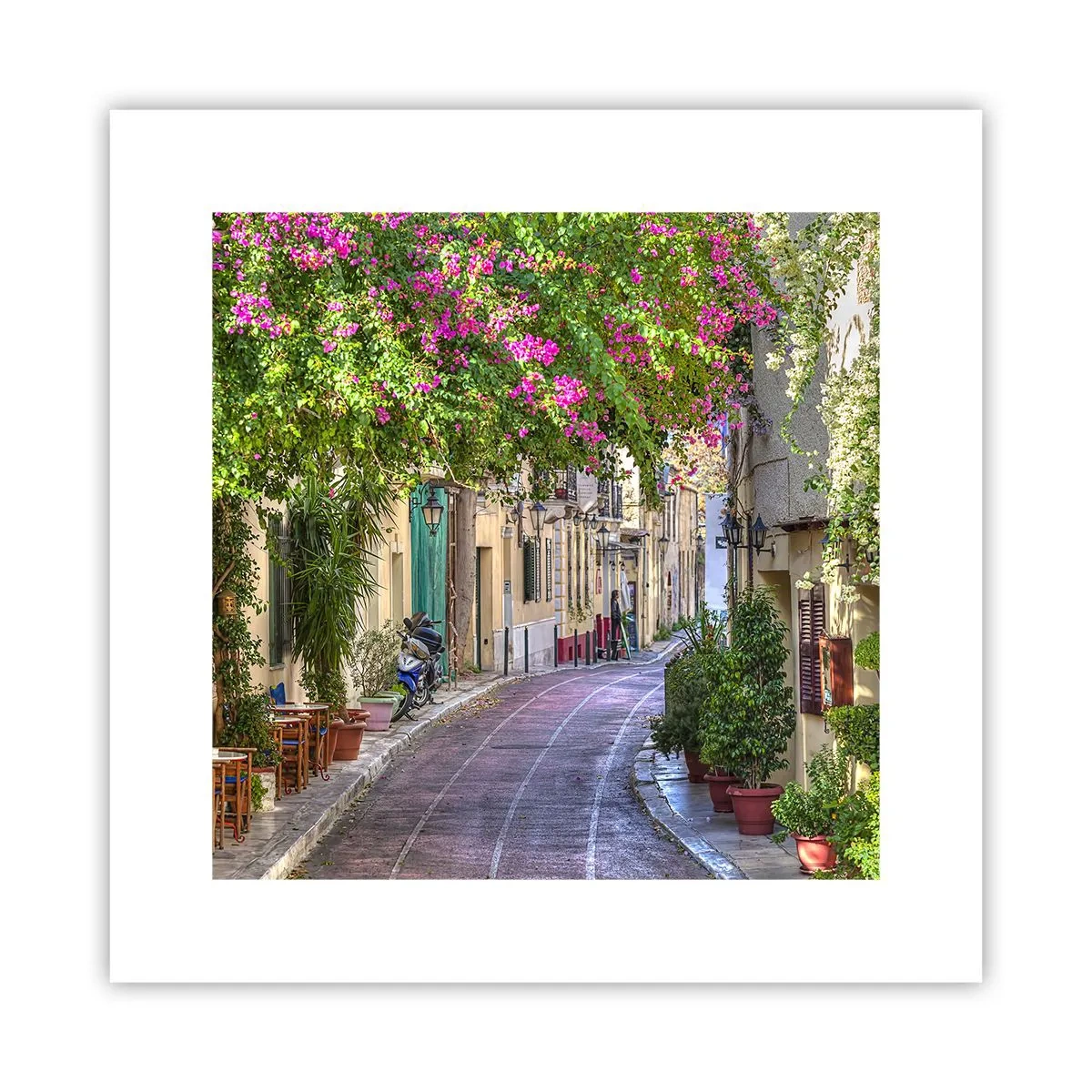 Affiche - Poster - Allée fleurie - 30x30 cm