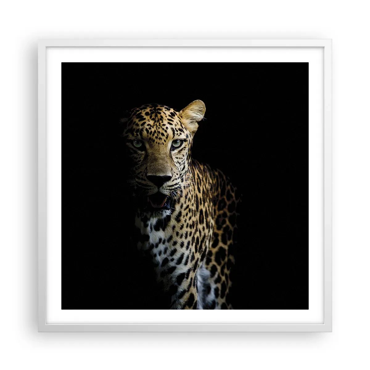 Affiche dans un cadre blanc - Poster - Beauté sombre - 60x60 cm