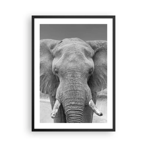 Affiche dans un cadre noir - Poster - Éléphant en photographie d'art en noir et blanc - 50x70cm - Bienvenue dans mon monde - Décoration murale moderne pour le salon et la chambre ARTTOR