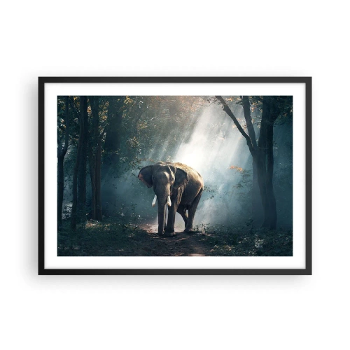 Affiche dans un cadre noir - Poster - Éléphant dans la lumière de la forêt - 70x50cm - Une balade tranquille - Décoration murale moderne pour le salon et la chambre ARTTOR