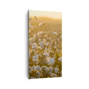 Impression sur toile - Image sur toile - Champ moelleux - 65x120 cm