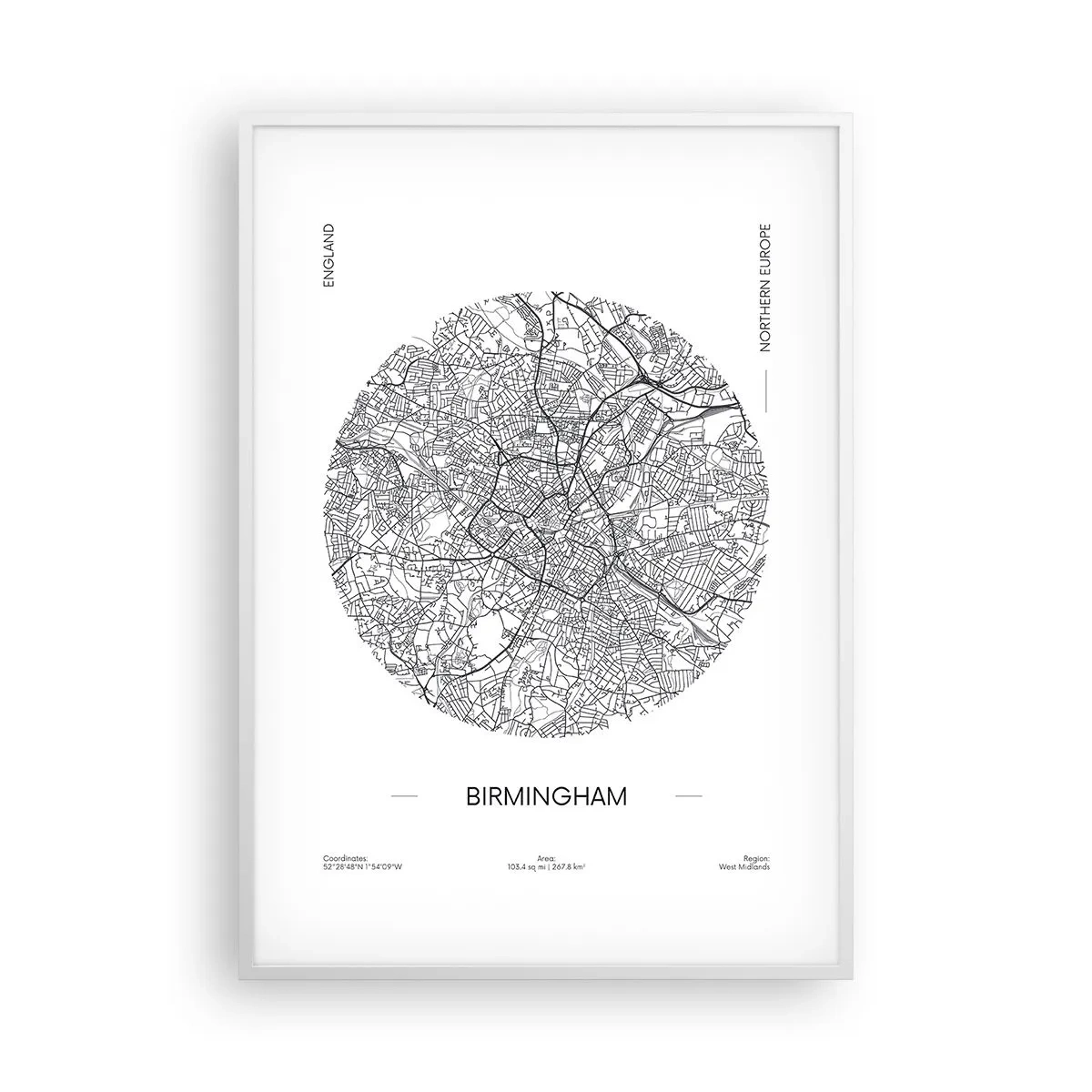 Affiche dans un cadre blanc - Poster - Anatomie de Birmingham - 70x100 cm