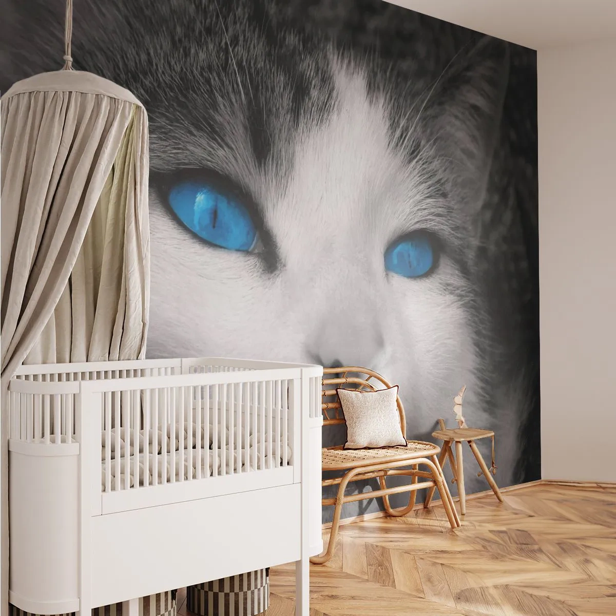 Papier Peint Autocollant Deluxe Sticker - Yeux bleus inhabituels - Animaux, Chat, Yeux bleus - 250x175 cm