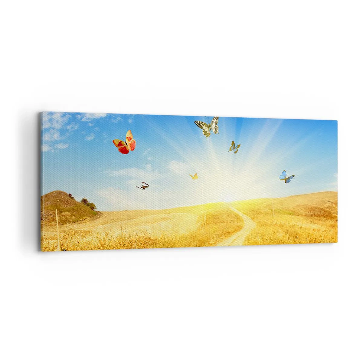 Impression sur toile - Image sur toile - Et comment ne pas aimer l'été ? - 100x40 cm