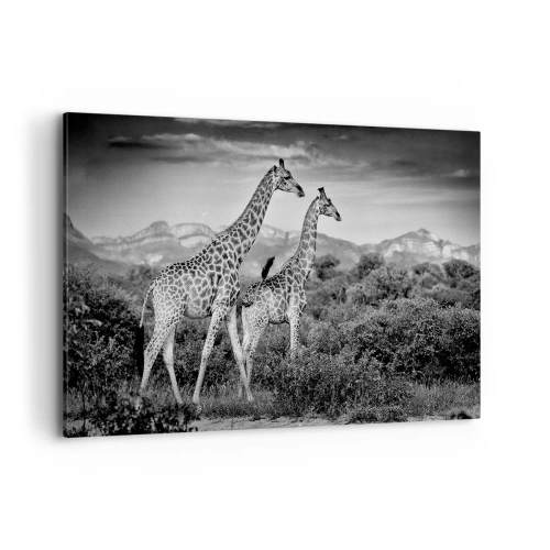 Impression sur toile - Image sur toile - Silhouettes noires et blanches de deux girafes dans la savane - 120x80cm - Hautes sphères en Afrique - Décoration murale moderne pour le salon et la chambre ARTTOR