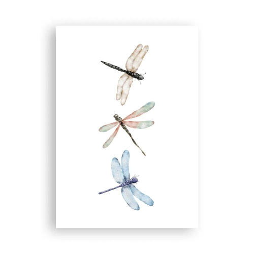 Affiche - Poster - Libellules en apesanteur - 70x100 cm