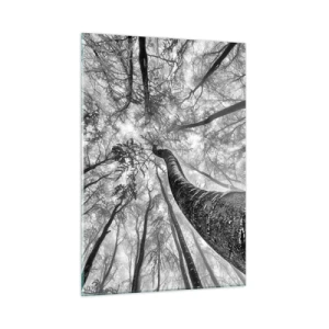 Impression sur verre - Image sur verre - Arbres en noir et blanc photographiés d'en bas vers le ciel - 50x70cm - Course vers la lumière - Décoration murale moderne pour le salon et la chambre ARTTOR