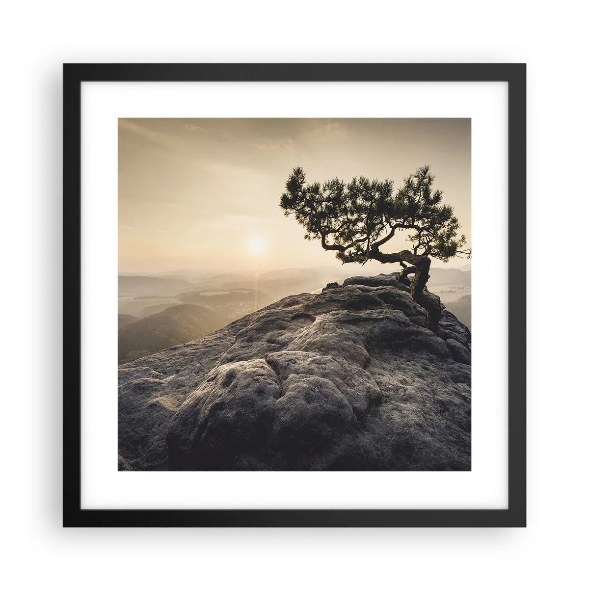 Affiche dans un cadre noir - Poster - La vie gagne toujours - 40x40 cm