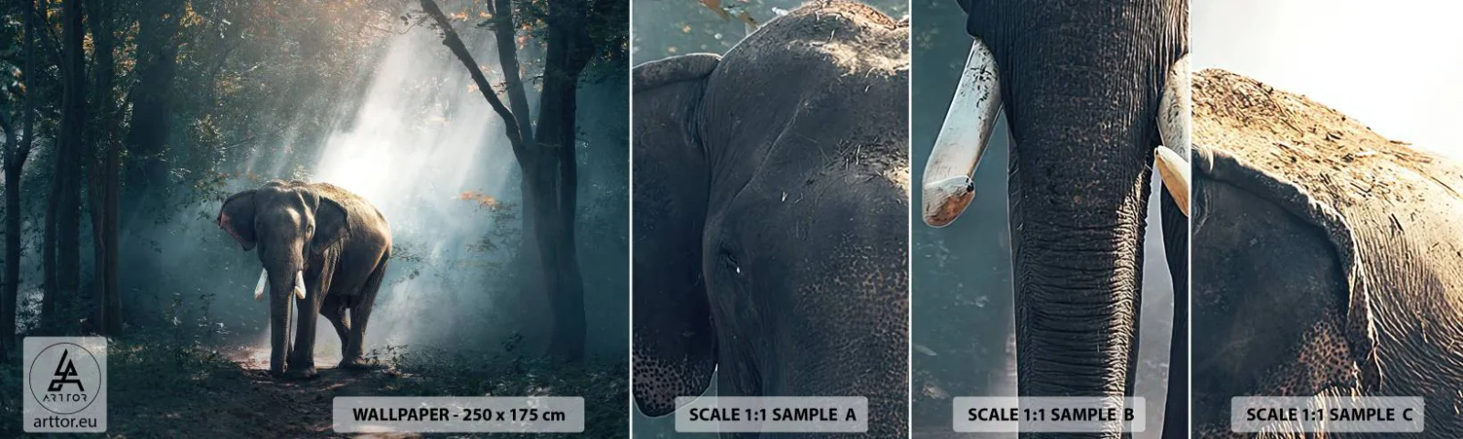 Échantillon de Papier Peint Autocollant Deluxe Sticker - Une balade tranquille - Animaux, Éléphant, Jungle - 100x30 cm