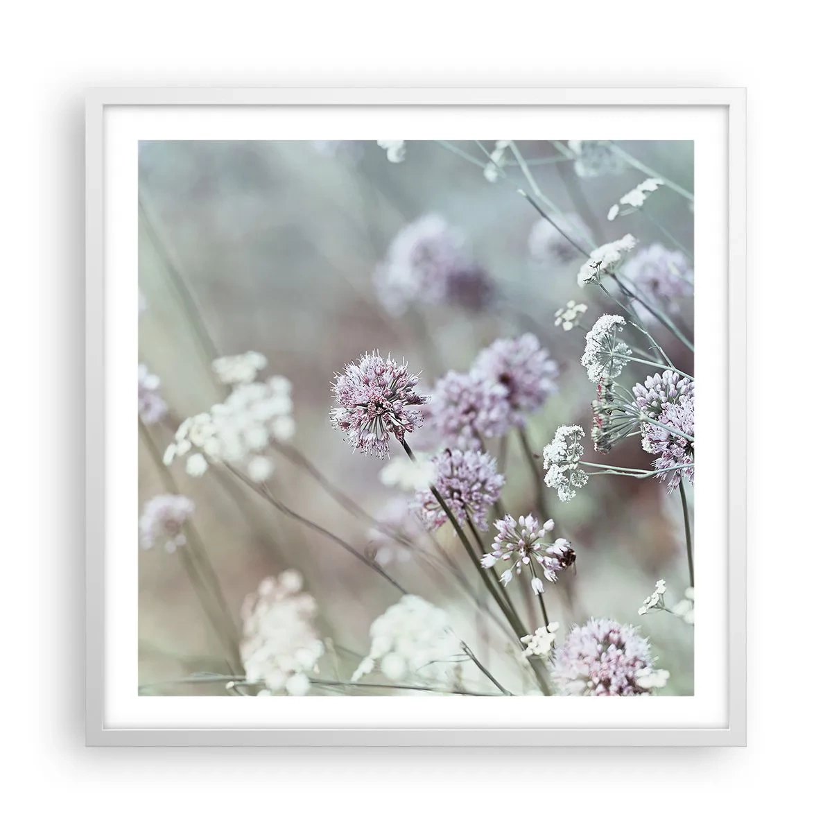 Affiche dans un cadre blanc - Poster - Herbes douces en filigrane - 60x60 cm