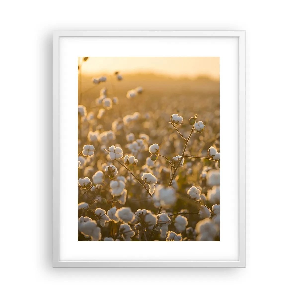 Affiche dans un cadre blanc - Poster - Champ moelleux - 40x50 cm