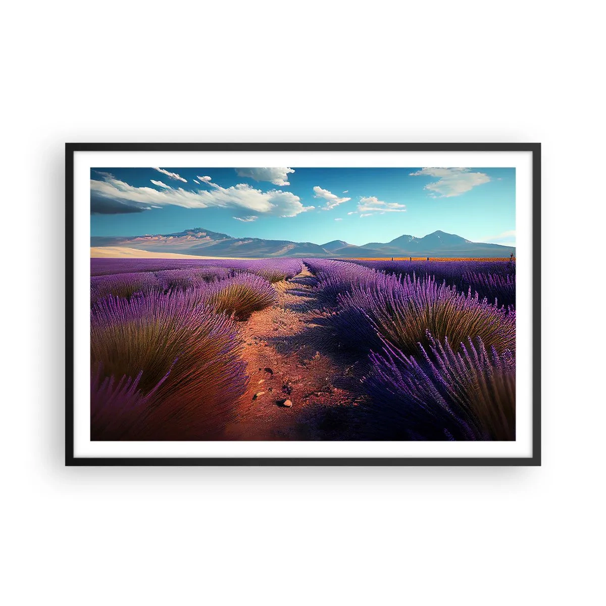 Affiche dans un cadre noir - Poster - Champs parfumés - 91x61 cm