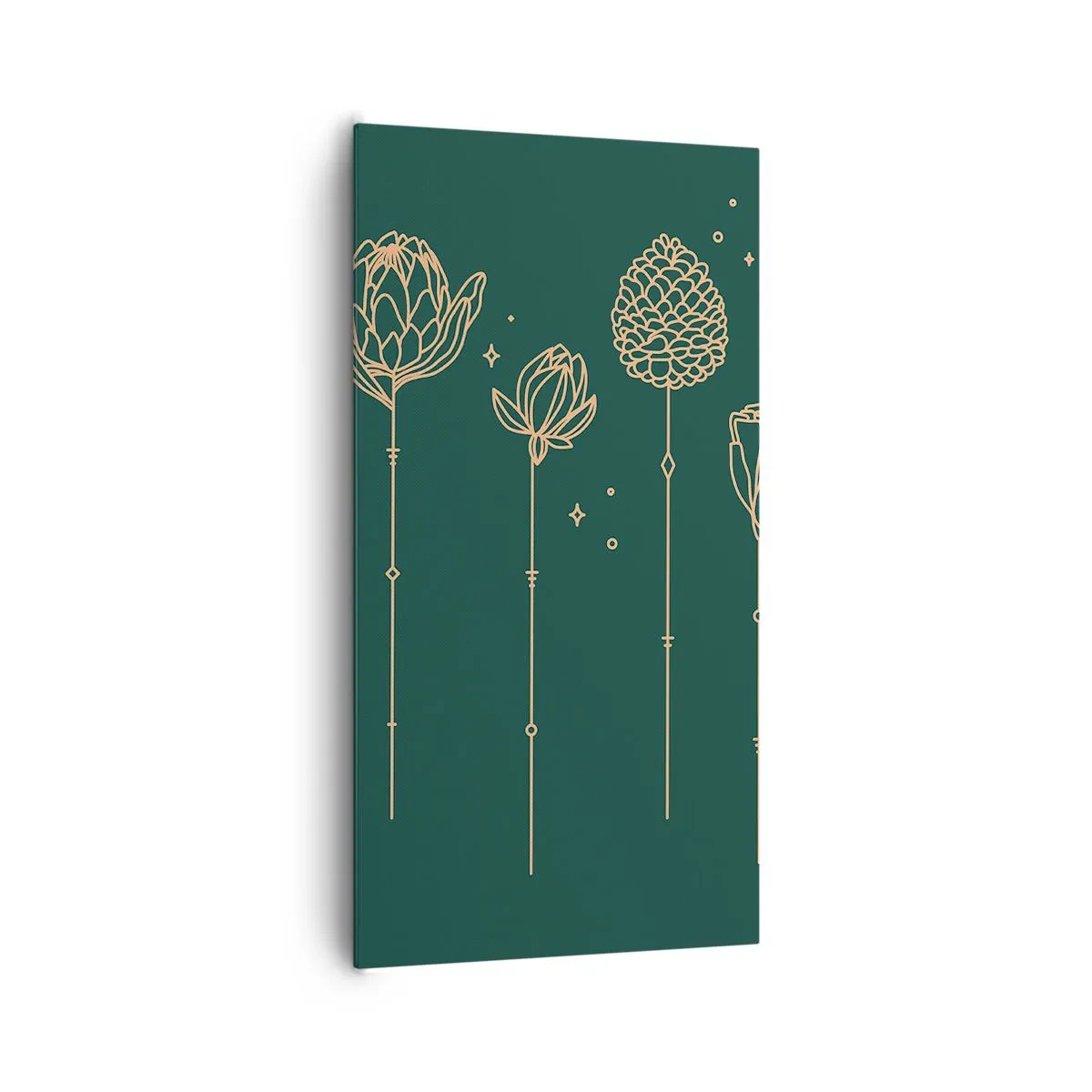Impression sur toile - Image sur toile - La famille Plante - 65x120 cm